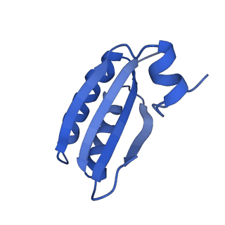 9314_6n0f_GC_v1-3
Cryo-EM structure of the HO BMC shell: subregion classified for BMC-T: TD-TSTSTS