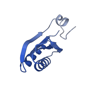 9314_6n0f_GD_v1-3
Cryo-EM structure of the HO BMC shell: subregion classified for BMC-T: TD-TSTSTS