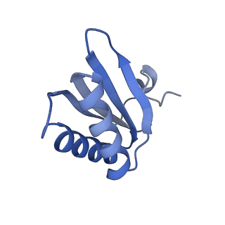 9314_6n0f_GE_v1-3
Cryo-EM structure of the HO BMC shell: subregion classified for BMC-T: TD-TSTSTS