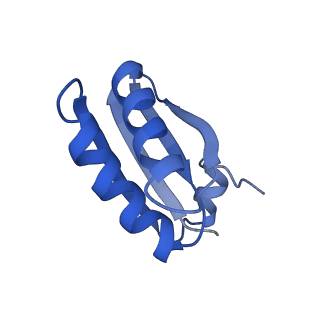 9314_6n0f_GF_v1-3
Cryo-EM structure of the HO BMC shell: subregion classified for BMC-T: TD-TSTSTS