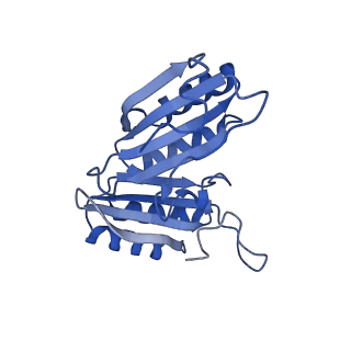 9314_6n0f_G_v1-2
Cryo-EM structure of the HO BMC shell: subregion classified for BMC-T: TD-TSTSTS