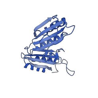 9314_6n0f_G_v1-3
Cryo-EM structure of the HO BMC shell: subregion classified for BMC-T: TD-TSTSTS