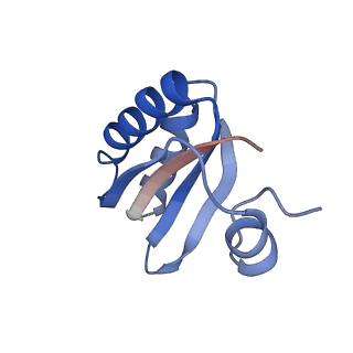 9314_6n0f_HA_v1-3
Cryo-EM structure of the HO BMC shell: subregion classified for BMC-T: TD-TSTSTS