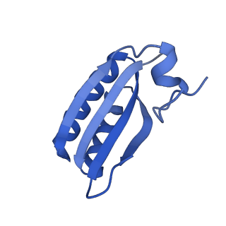 9314_6n0f_HB_v1-3
Cryo-EM structure of the HO BMC shell: subregion classified for BMC-T: TD-TSTSTS