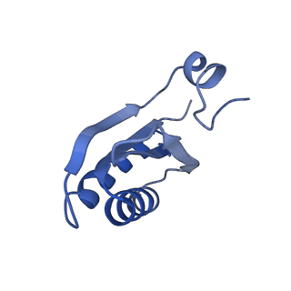 9314_6n0f_HC_v1-3
Cryo-EM structure of the HO BMC shell: subregion classified for BMC-T: TD-TSTSTS