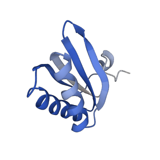 9314_6n0f_HD_v1-3
Cryo-EM structure of the HO BMC shell: subregion classified for BMC-T: TD-TSTSTS