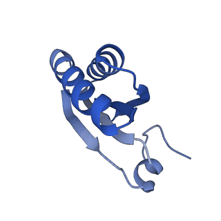 9314_6n0f_HF_v1-3
Cryo-EM structure of the HO BMC shell: subregion classified for BMC-T: TD-TSTSTS