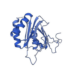 9314_6n0f_H_v1-3
Cryo-EM structure of the HO BMC shell: subregion classified for BMC-T: TD-TSTSTS