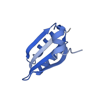 9314_6n0f_IA_v1-3
Cryo-EM structure of the HO BMC shell: subregion classified for BMC-T: TD-TSTSTS