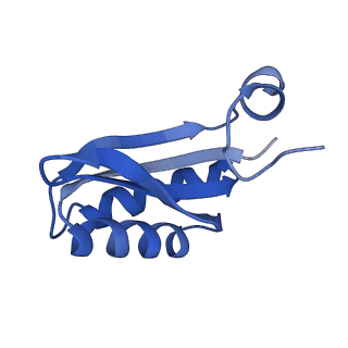 9314_6n0f_IB_v1-3
Cryo-EM structure of the HO BMC shell: subregion classified for BMC-T: TD-TSTSTS