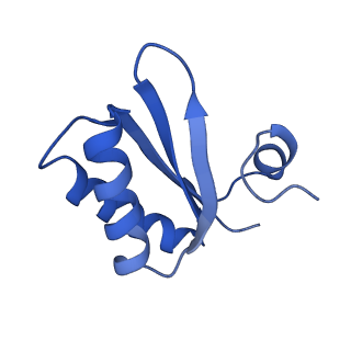 9314_6n0f_IC_v1-3
Cryo-EM structure of the HO BMC shell: subregion classified for BMC-T: TD-TSTSTS