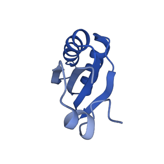 9314_6n0f_IF_v1-3
Cryo-EM structure of the HO BMC shell: subregion classified for BMC-T: TD-TSTSTS