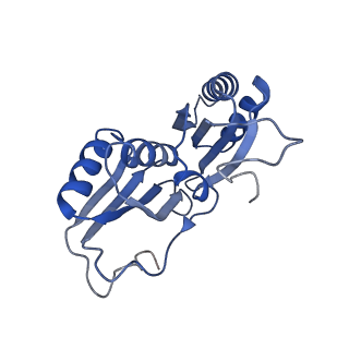 9314_6n0f_I_v1-3
Cryo-EM structure of the HO BMC shell: subregion classified for BMC-T: TD-TSTSTS