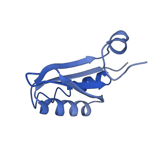 9314_6n0f_JA_v1-3
Cryo-EM structure of the HO BMC shell: subregion classified for BMC-T: TD-TSTSTS