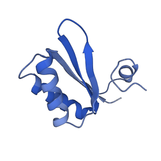 9314_6n0f_JB_v1-3
Cryo-EM structure of the HO BMC shell: subregion classified for BMC-T: TD-TSTSTS