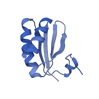 9314_6n0f_JC_v1-3
Cryo-EM structure of the HO BMC shell: subregion classified for BMC-T: TD-TSTSTS