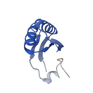 9314_6n0f_JD_v1-3
Cryo-EM structure of the HO BMC shell: subregion classified for BMC-T: TD-TSTSTS