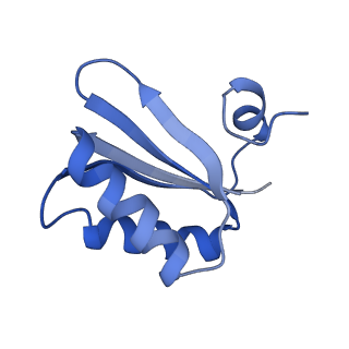 9314_6n0f_KA_v1-3
Cryo-EM structure of the HO BMC shell: subregion classified for BMC-T: TD-TSTSTS