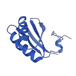 9314_6n0f_KB_v1-3
Cryo-EM structure of the HO BMC shell: subregion classified for BMC-T: TD-TSTSTS