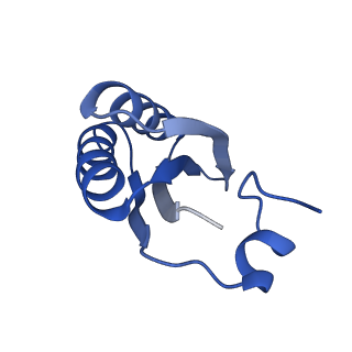 9314_6n0f_KC_v1-3
Cryo-EM structure of the HO BMC shell: subregion classified for BMC-T: TD-TSTSTS