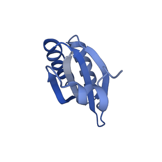 9314_6n0f_KD_v1-3
Cryo-EM structure of the HO BMC shell: subregion classified for BMC-T: TD-TSTSTS