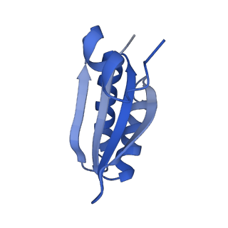 9314_6n0f_KE_v1-3
Cryo-EM structure of the HO BMC shell: subregion classified for BMC-T: TD-TSTSTS