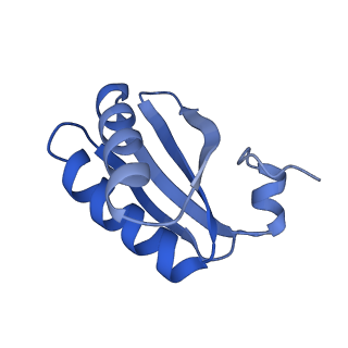 9314_6n0f_LA_v1-3
Cryo-EM structure of the HO BMC shell: subregion classified for BMC-T: TD-TSTSTS