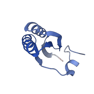 9314_6n0f_LB_v1-3
Cryo-EM structure of the HO BMC shell: subregion classified for BMC-T: TD-TSTSTS