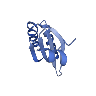 9314_6n0f_LC_v1-3
Cryo-EM structure of the HO BMC shell: subregion classified for BMC-T: TD-TSTSTS