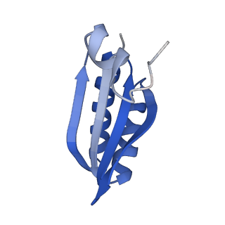 9314_6n0f_LD_v1-3
Cryo-EM structure of the HO BMC shell: subregion classified for BMC-T: TD-TSTSTS