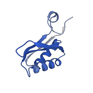 9314_6n0f_LE_v1-3
Cryo-EM structure of the HO BMC shell: subregion classified for BMC-T: TD-TSTSTS