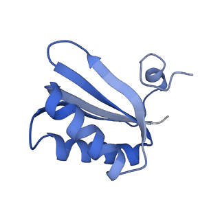 9314_6n0f_LF_v1-3
Cryo-EM structure of the HO BMC shell: subregion classified for BMC-T: TD-TSTSTS