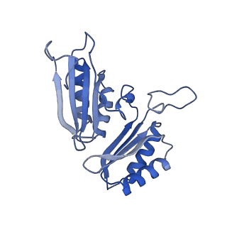 9314_6n0f_M_v1-2
Cryo-EM structure of the HO BMC shell: subregion classified for BMC-T: TD-TSTSTS