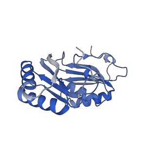 9314_6n0f_N_v1-3
Cryo-EM structure of the HO BMC shell: subregion classified for BMC-T: TD-TSTSTS