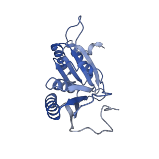 9314_6n0f_O_v1-3
Cryo-EM structure of the HO BMC shell: subregion classified for BMC-T: TD-TSTSTS