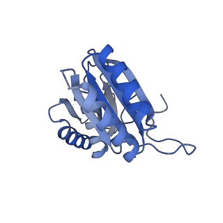 9314_6n0f_T_v1-3
Cryo-EM structure of the HO BMC shell: subregion classified for BMC-T: TD-TSTSTS