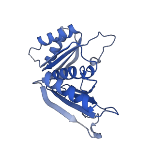 9314_6n0f_U_v1-3
Cryo-EM structure of the HO BMC shell: subregion classified for BMC-T: TD-TSTSTS