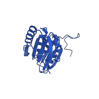 9315_6n0g_A_v1-3
Cryo-EM structure of the HO BMC shell: subregion classified for BMC-T: TS-TDTDTD