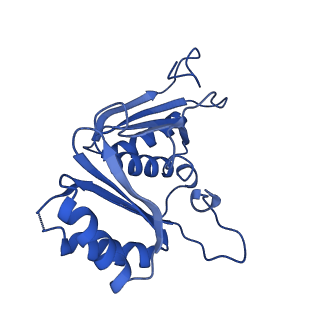 9315_6n0g_B_v1-3
Cryo-EM structure of the HO BMC shell: subregion classified for BMC-T: TS-TDTDTD