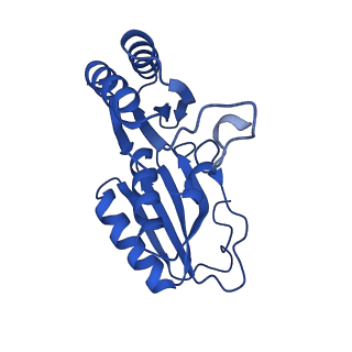 9315_6n0g_C_v1-3
Cryo-EM structure of the HO BMC shell: subregion classified for BMC-T: TS-TDTDTD