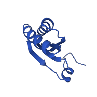 9315_6n0g_GA_v1-3
Cryo-EM structure of the HO BMC shell: subregion classified for BMC-T: TS-TDTDTD