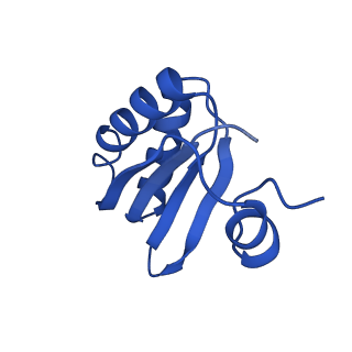 9315_6n0g_GB_v1-3
Cryo-EM structure of the HO BMC shell: subregion classified for BMC-T: TS-TDTDTD