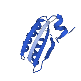 9315_6n0g_GC_v1-3
Cryo-EM structure of the HO BMC shell: subregion classified for BMC-T: TS-TDTDTD