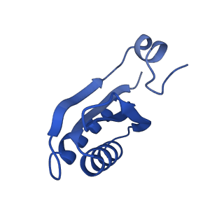 9315_6n0g_GD_v1-3
Cryo-EM structure of the HO BMC shell: subregion classified for BMC-T: TS-TDTDTD