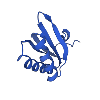 9315_6n0g_GE_v1-3
Cryo-EM structure of the HO BMC shell: subregion classified for BMC-T: TS-TDTDTD