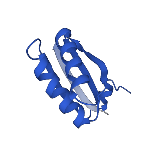 9315_6n0g_GF_v1-3
Cryo-EM structure of the HO BMC shell: subregion classified for BMC-T: TS-TDTDTD