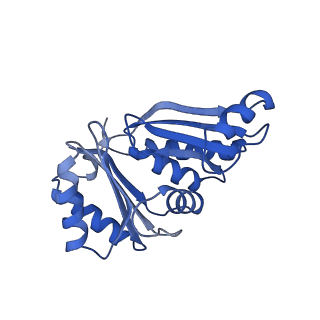 9315_6n0g_G_v1-3
Cryo-EM structure of the HO BMC shell: subregion classified for BMC-T: TS-TDTDTD