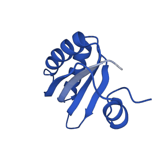 9315_6n0g_HA_v1-3
Cryo-EM structure of the HO BMC shell: subregion classified for BMC-T: TS-TDTDTD