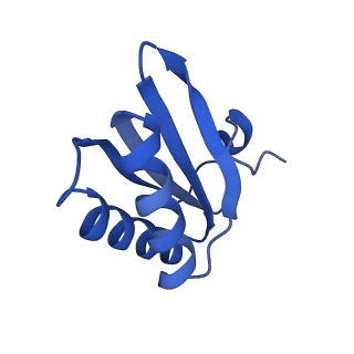 9315_6n0g_HD_v1-3
Cryo-EM structure of the HO BMC shell: subregion classified for BMC-T: TS-TDTDTD