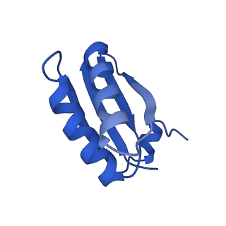 9315_6n0g_HE_v1-3
Cryo-EM structure of the HO BMC shell: subregion classified for BMC-T: TS-TDTDTD